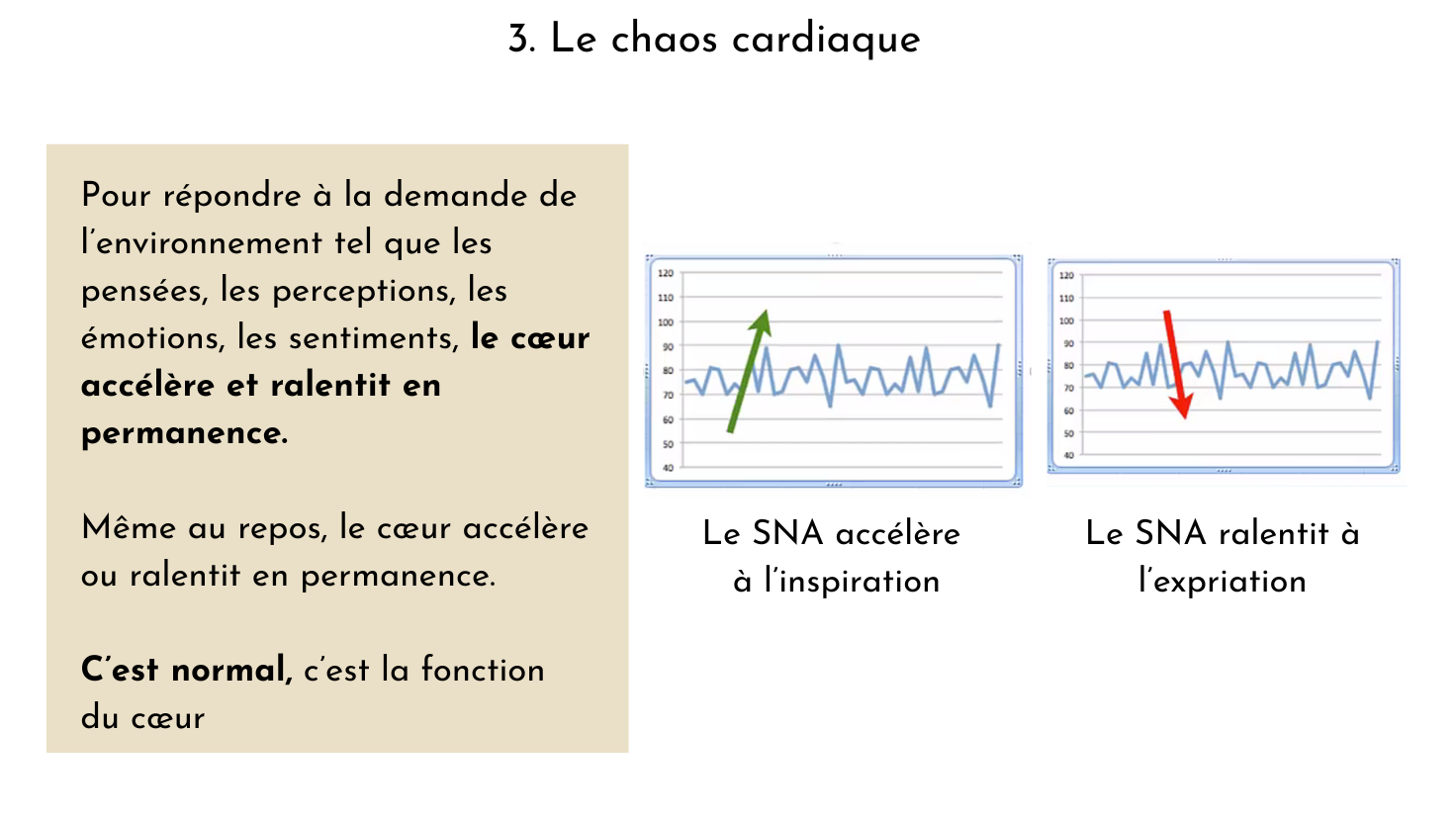 Le chaos cardiaque